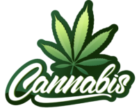 Cannabinoidsusa